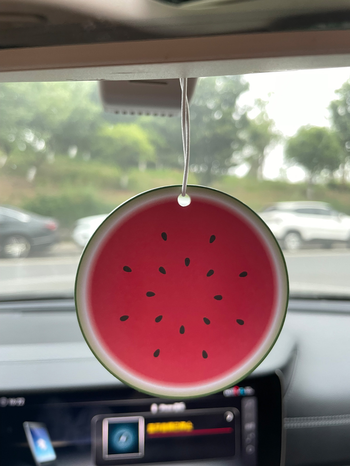 Watermelon/Freesia Fresh Scent - огляд і ціна Bathroom Home Essentials Store