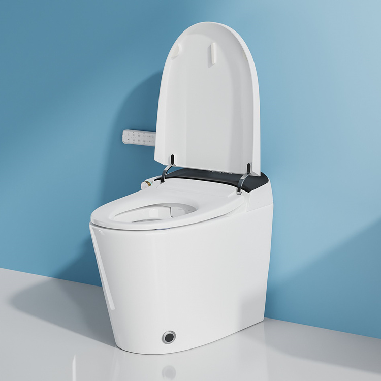 Home Decoration Bathroom Smart - огляд і ціна Home Bathroom