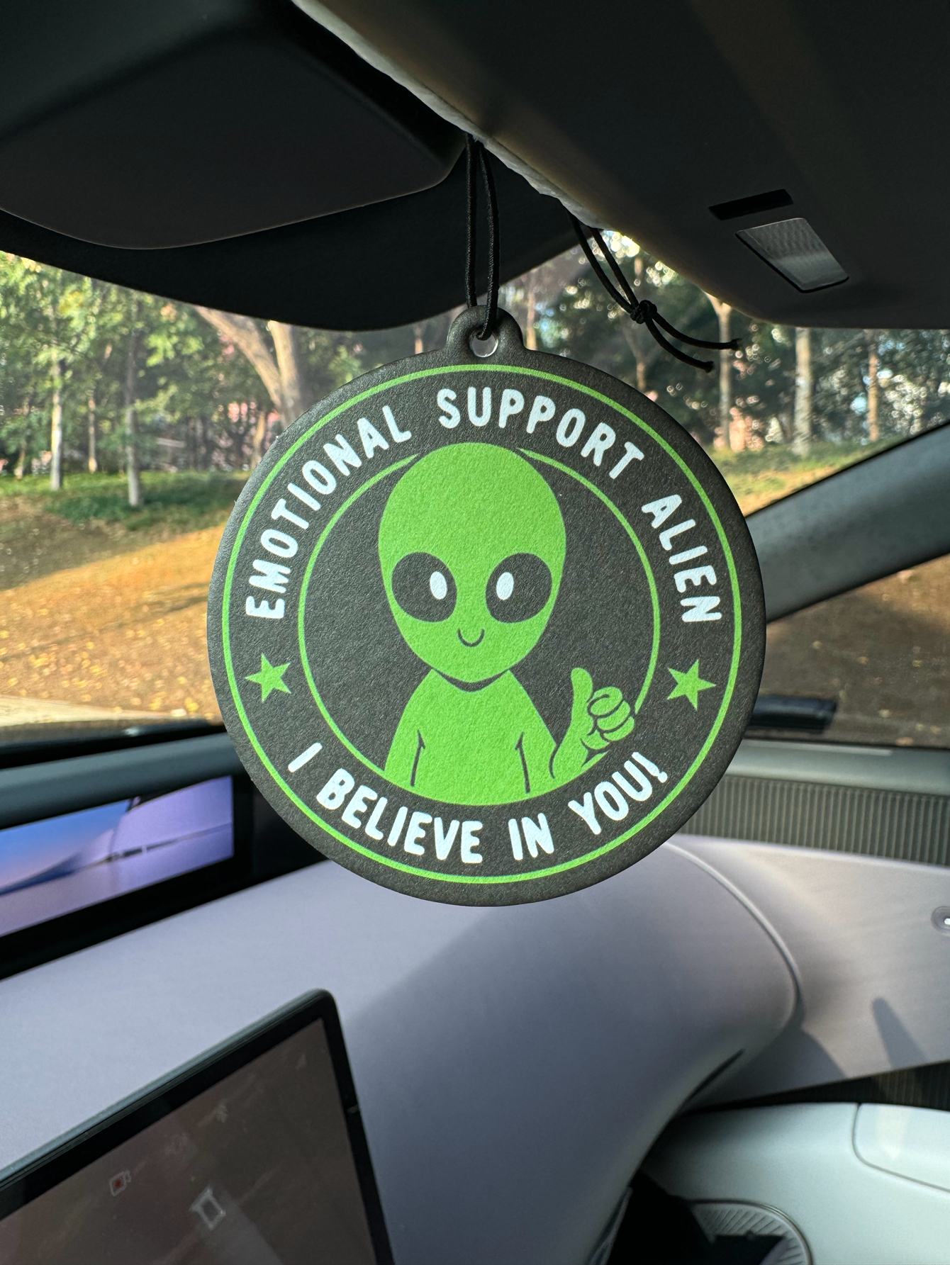 Emotional Support Alien Alien  - огляд і ціна Bathroom Home Essentials Store
