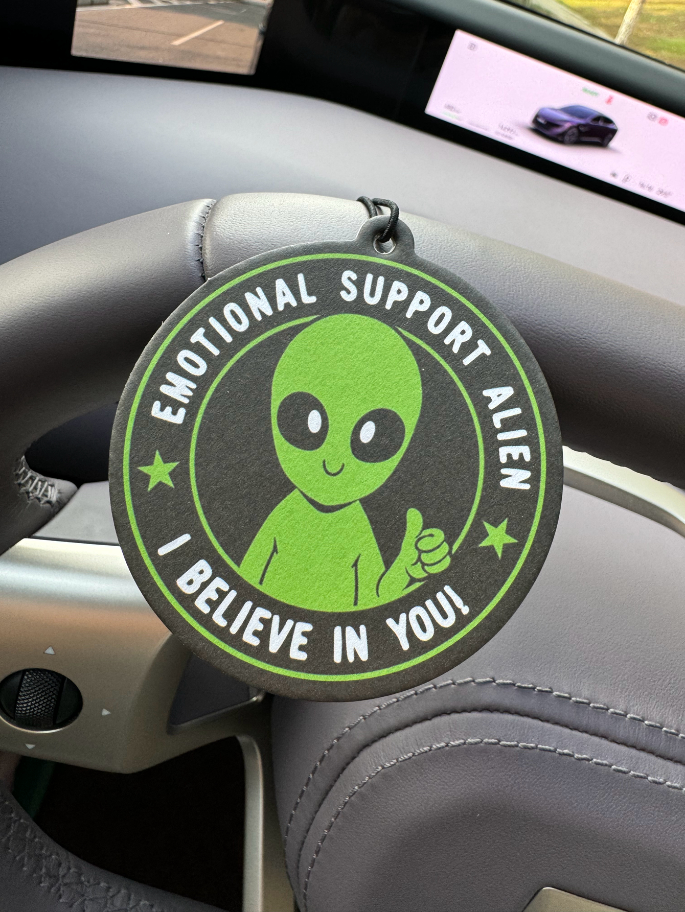 Emotional Support Alien Alien  - огляд і ціна Bathroom Home Essentials Store