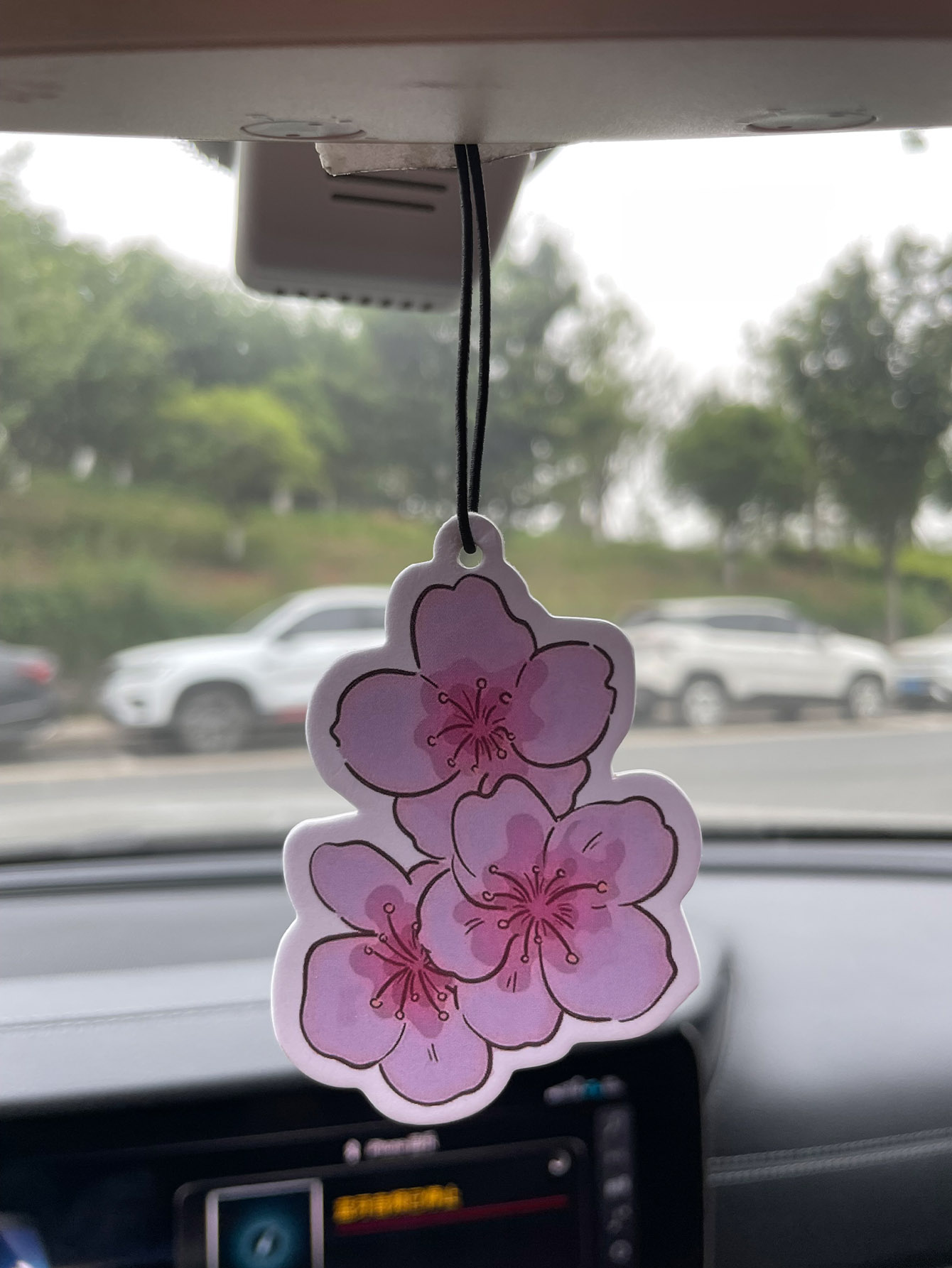 Sakura/Freesia Fresh Scent Fiv - огляд і ціна Bathroom Home Essentials Store