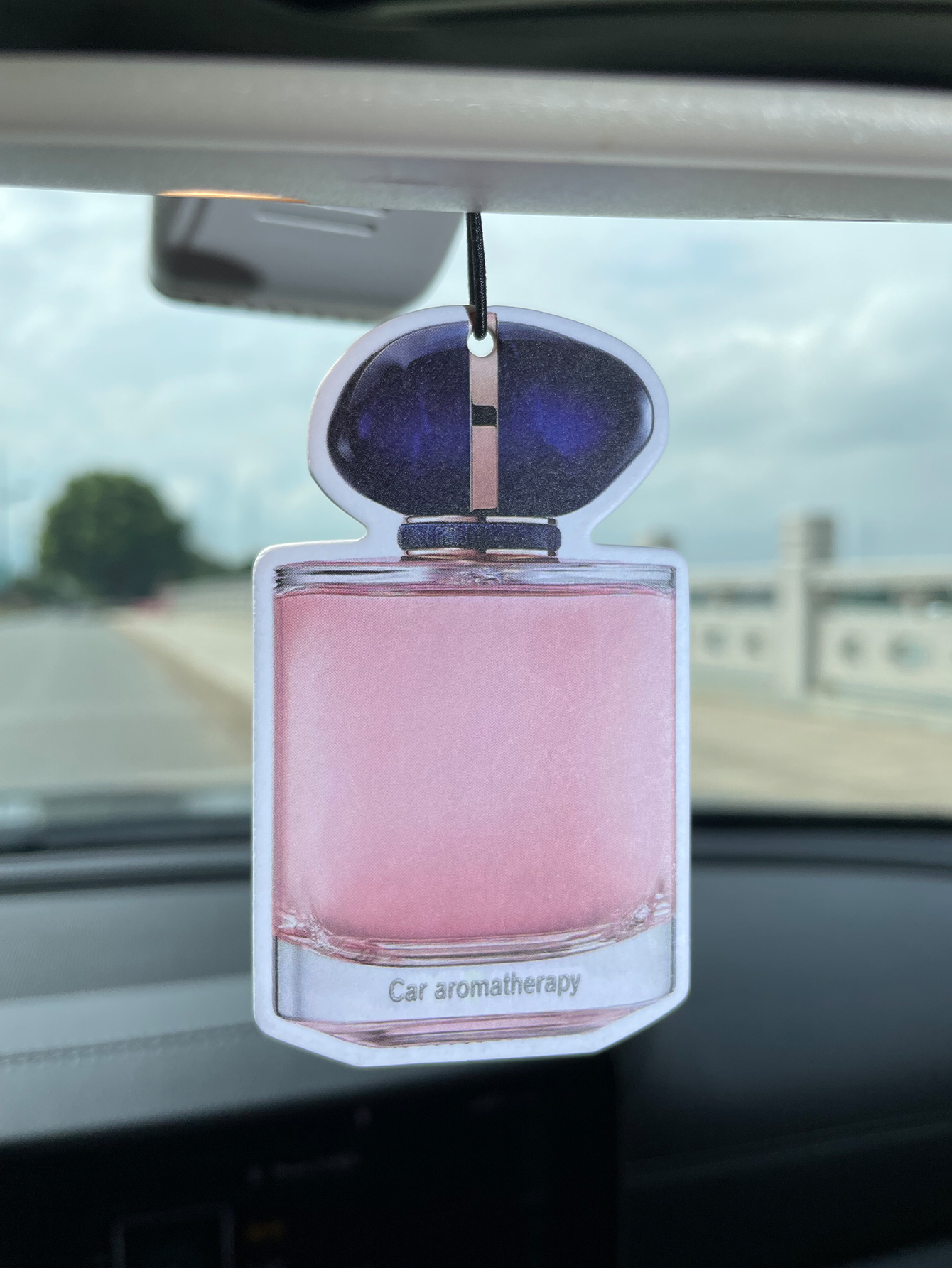 Bottle/Freesia Fresh Scent Fiv - огляд і ціна Bathroom Home Essentials Store