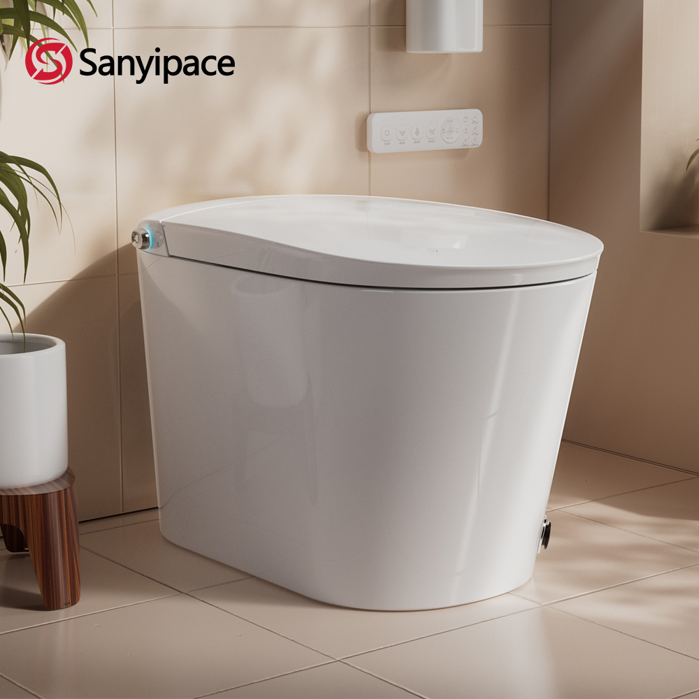 Sanyipace Smart Toilet and Bid - огляд і ціна Jet Home Bathroom Accessories